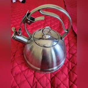 Professional grade tea kettle
